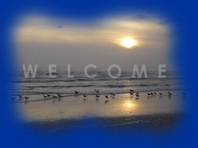 Welcome to Boardwalk